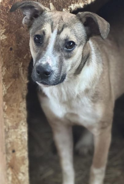 Amadeus ist so verkuschelt 🐾