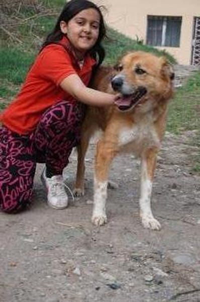 Rocco -  76689 Karsdorf