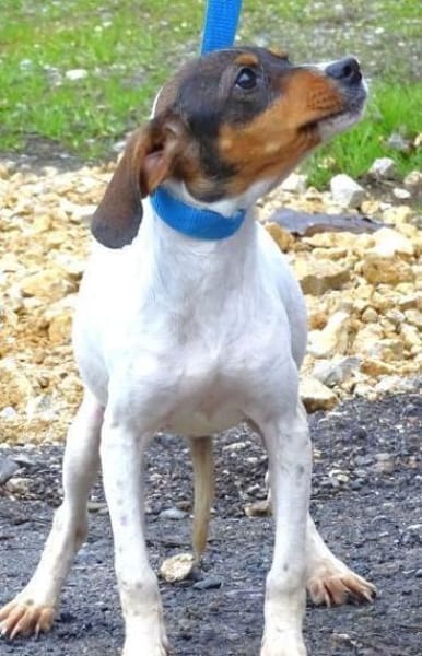 Kleine BRITA möchte ihr Leben beginnen