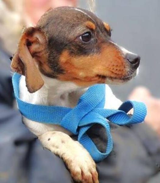 Kleine BRITA möchte ihr Leben beginnen