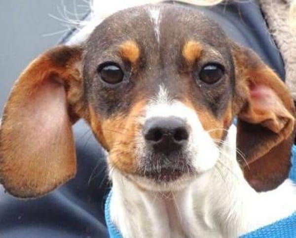 Kleine BRITA möchte ihr Leben beginnen