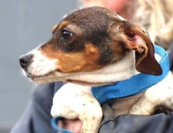 Kleine BRITA möchte ihr Leben beginnen