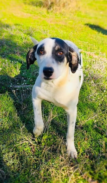 Momo der kleine Charmeur