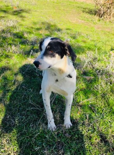 Momo der kleine Charmeur