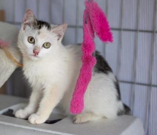 Leni - immer gut gelaunt