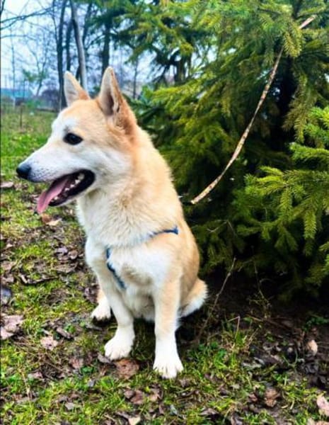 VALERA sucht seine Familie!