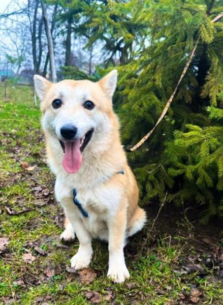 VALERA sucht seine Familie!