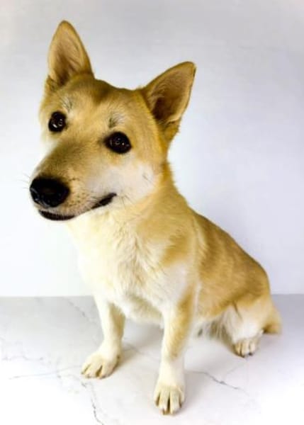 VALERA sucht seine Familie!