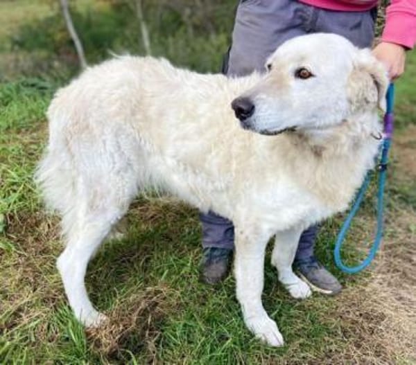 ZUZA braucht ein Zuhause