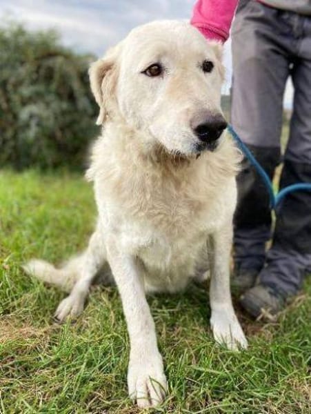 ZUZA braucht ein Zuhause