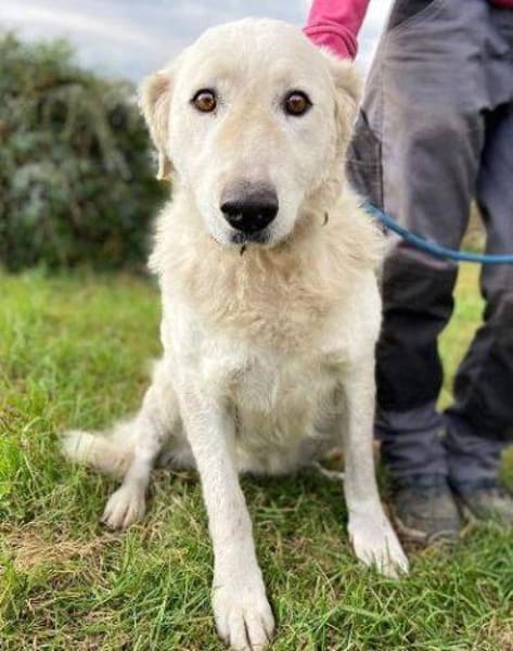 ZUZA braucht ein Zuhause