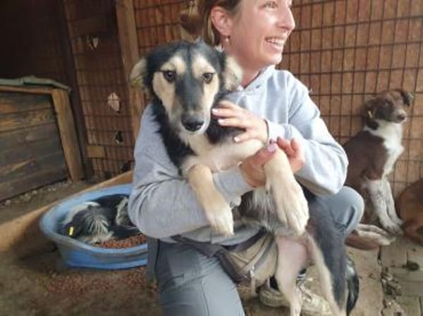 ISABELLA-schlanke Schönheit,weiches Fell