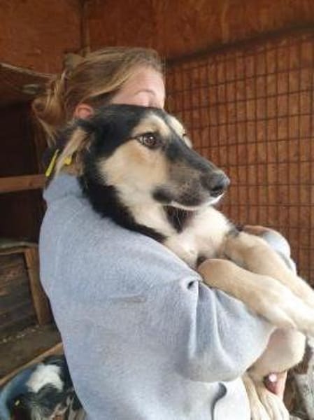 ISABELLA-schlanke Schönheit,weiches Fell