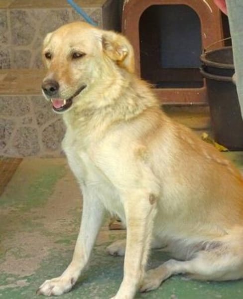 Wo sind MILENAs Menschen?