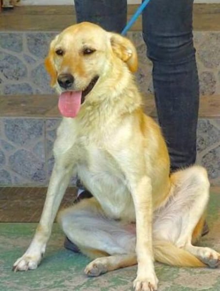 Wo sind MILENAs Menschen?