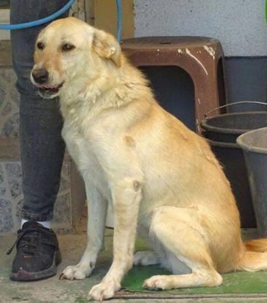 Wo sind MILENAs Menschen?