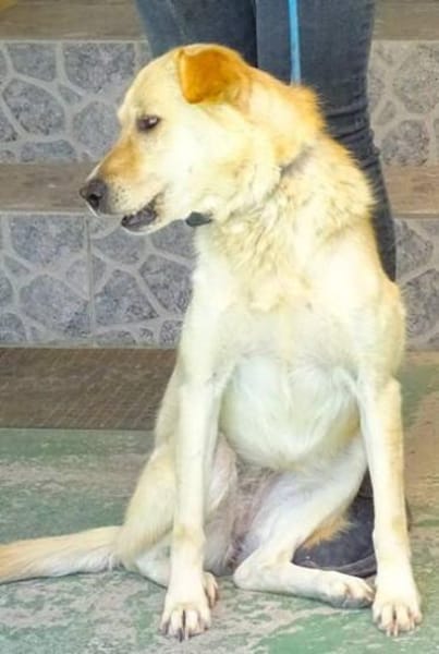 Wo sind MILENAs Menschen?