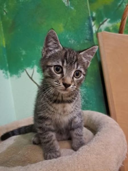 Mama und Tochter suchen ein Zuhause