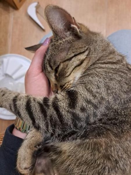 Mama und Tochter suchen ein Zuhause