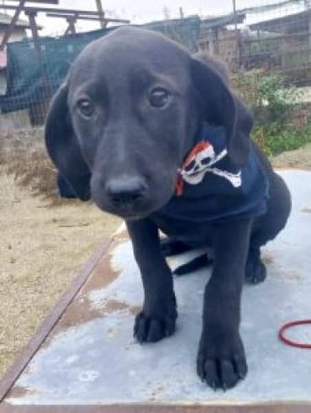 Nemos 30 cm (Nov 25) Pflegestelle