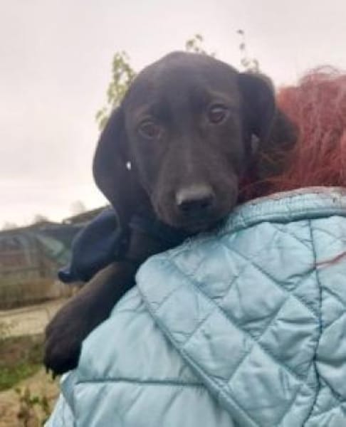 Nemos 30 cm (Nov 25) Pflegestelle