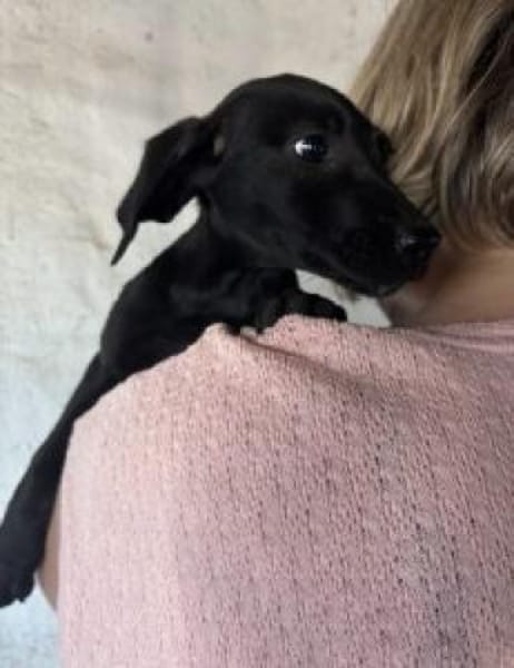 Nemos 30 cm (Nov 25) Pflegestelle