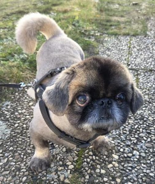 Jonny sucht ein ruhiges Plätzchen