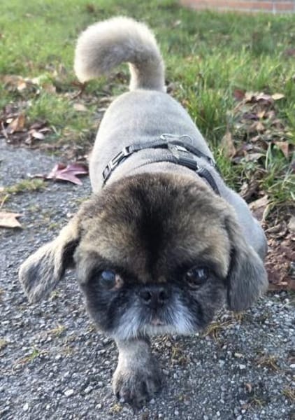 Jonny sucht ein ruhiges Plätzchen