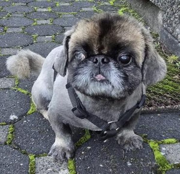 Jonny sucht ein ruhiges Plätzchen