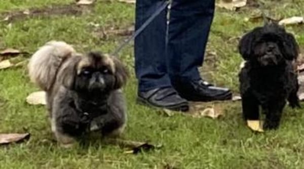 Jonny sucht ein ruhiges Plätzchen