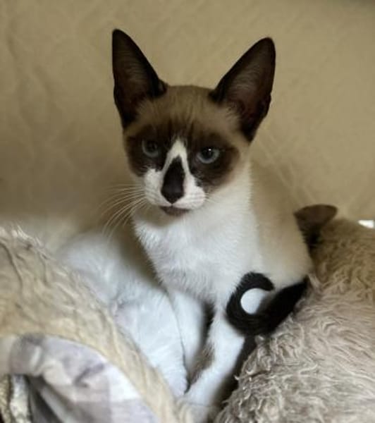 Edgar und Emil,  zwei Traumtypen 💕