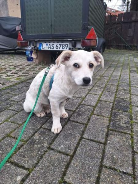 Daria sucht ihr kuscheliges Bettchen