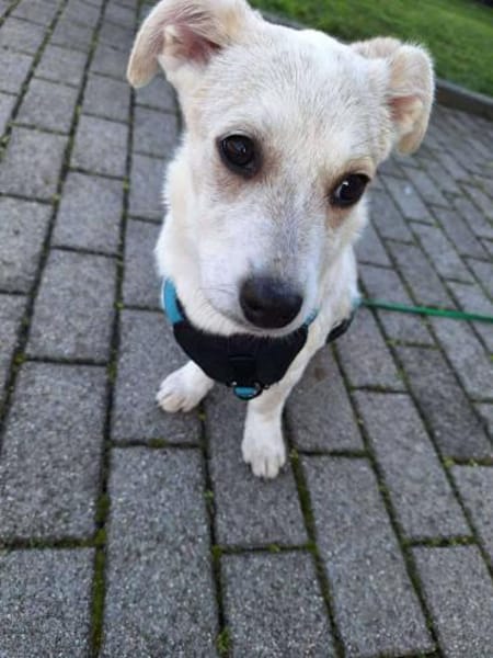 Daria sucht ihr kuscheliges Bettchen