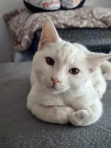 Nanouk und Karl suchen das Glück 💕