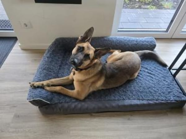 Fönis aktiver Mali Mix