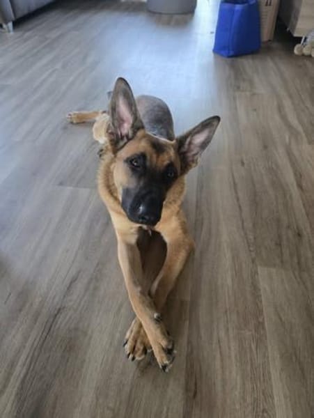 Fönis aktiver Mali Mix