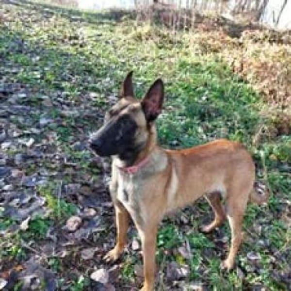 💕Maliha💕sucht ihre Menschen