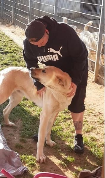 Loki, sanftmütiges Riesenbaby