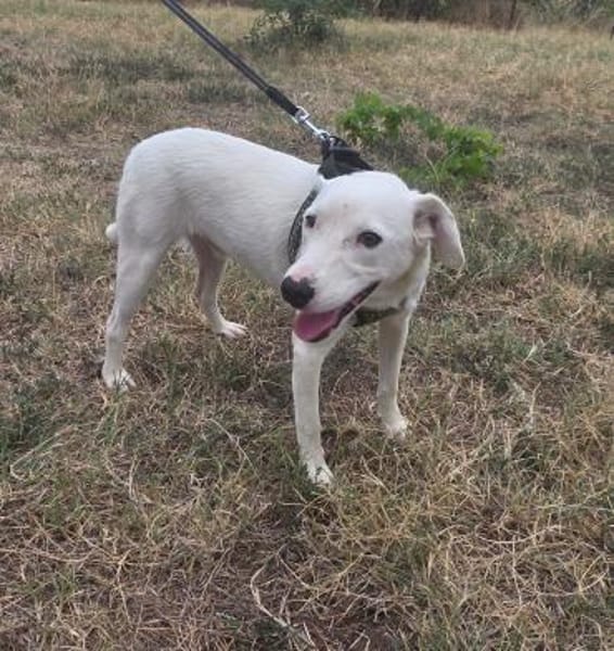 Danny sehr sozial und lieb