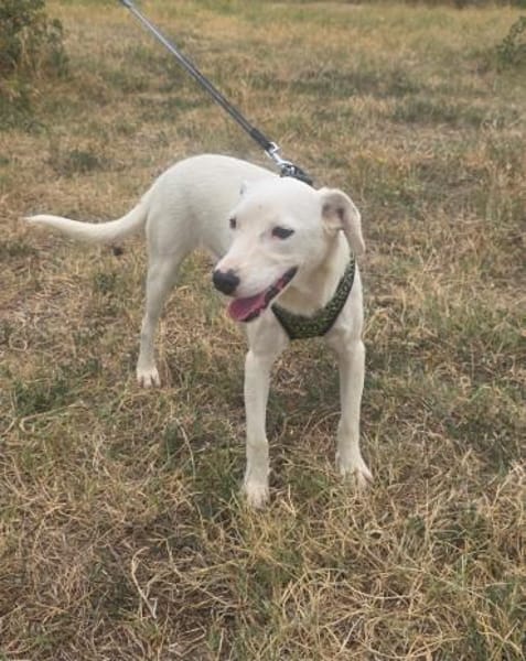 Danny sehr sozial und lieb