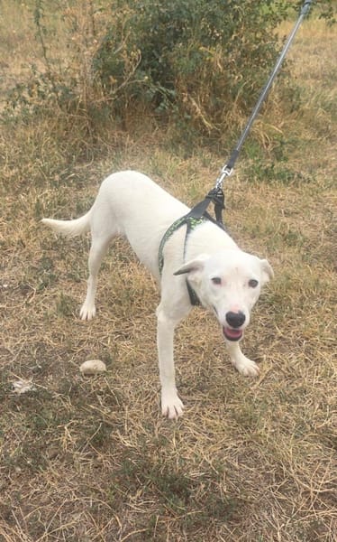 Danny sehr sozial und lieb