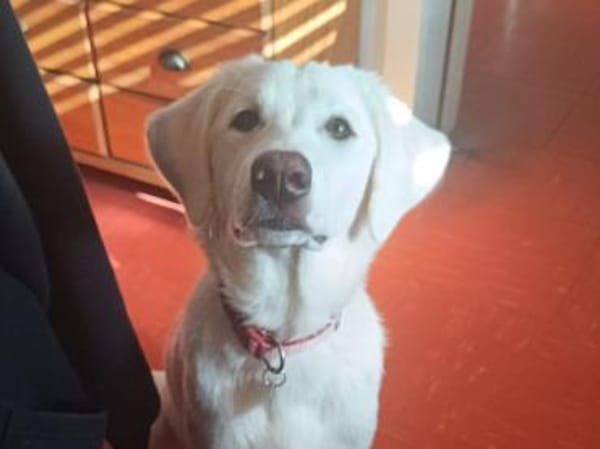 Familie für Naomi gesucht