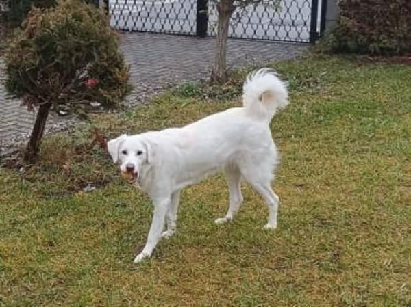 Familie für Naomi gesucht