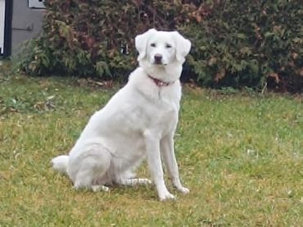 Familie für Naomi gesucht