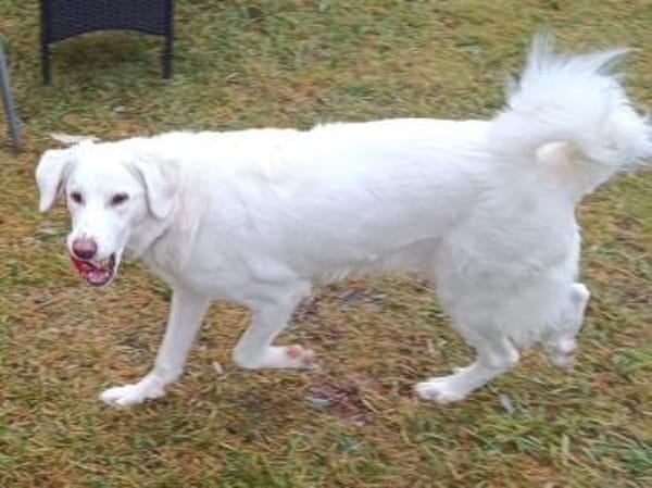 Familie für Naomi gesucht