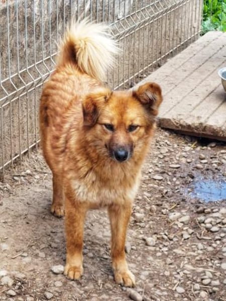 Sanfte TESSA sucht DICH