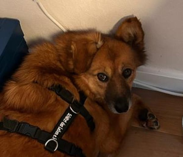 Sanfte TESSA sucht DICH