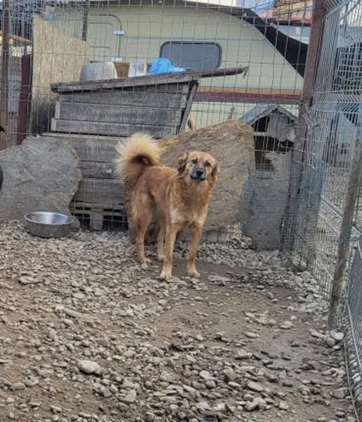 Sanfte TESSA sucht DICH