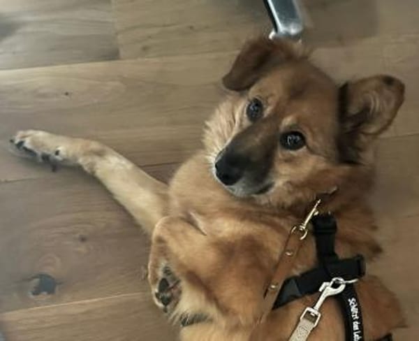 Sanfte TESSA sucht DICH