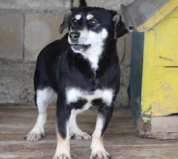 Klein Yaya ist aufgeschlossen und lieb